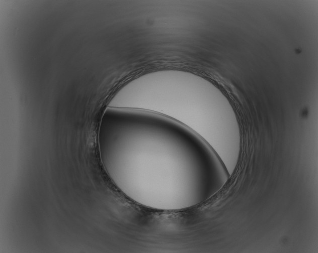 X0000091710517200708240959