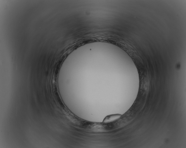 X0000091710518200708240959
