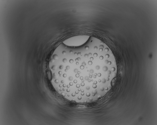 X0000091710519200708240959