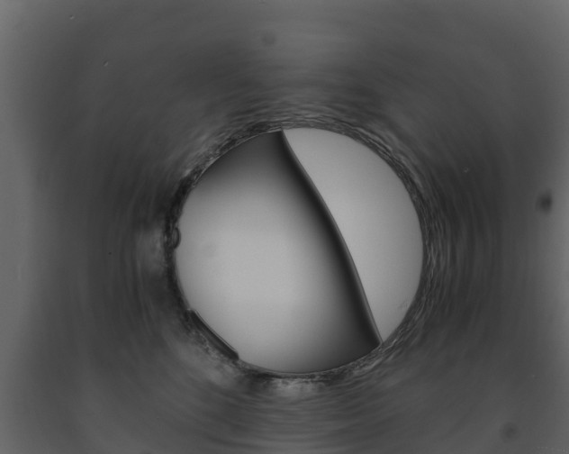X0000091710520200708240959