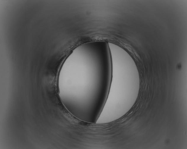 X0000091710521200708240959