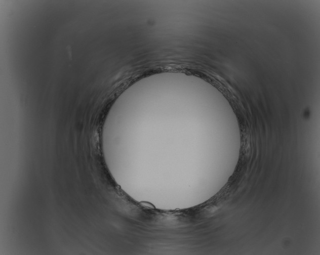 X0000091710523200708240959