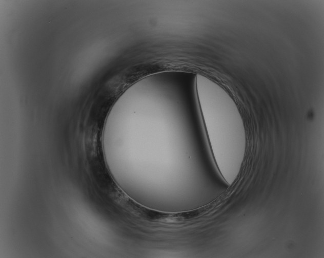 X0000091710525200708240959