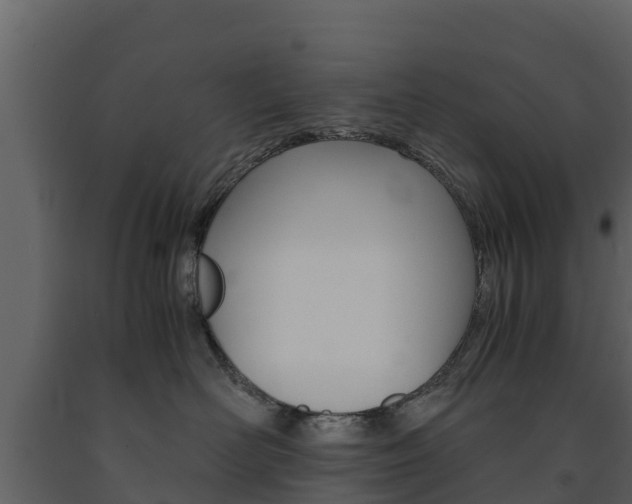 X0000091710526200708240959