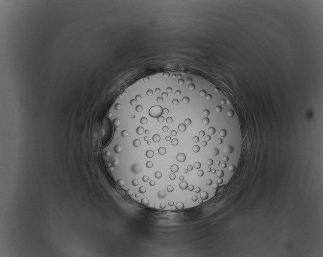 X0000091710527200708240959