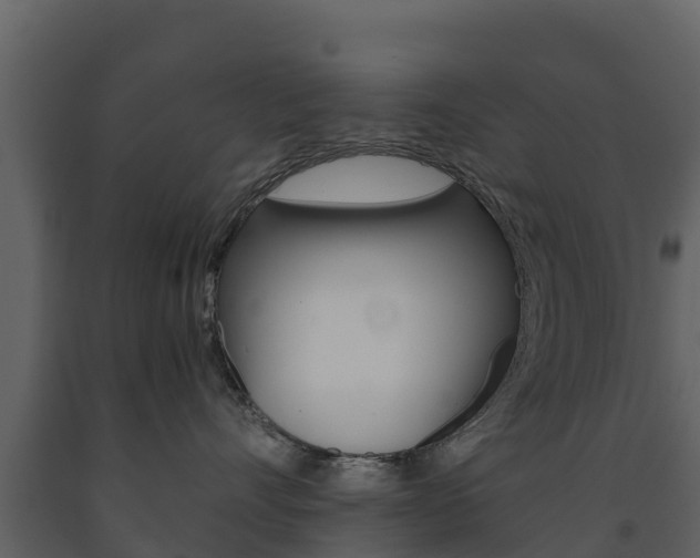 X0000091710528200708240959