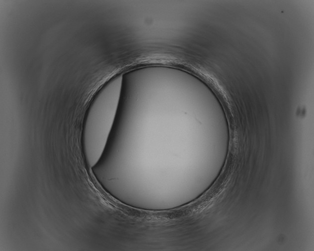 X0000091710529200708240958