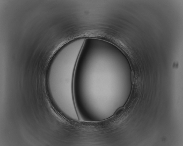 X0000091710530200708240958