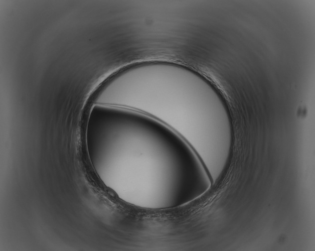 X0000091710532200708240958