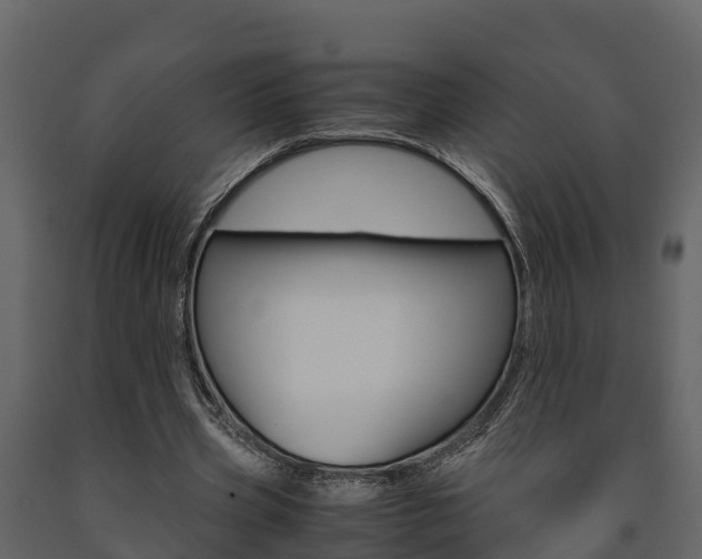 X0000091710533200708240958