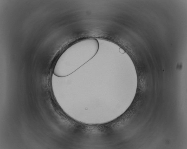 X0000091710534200708240958