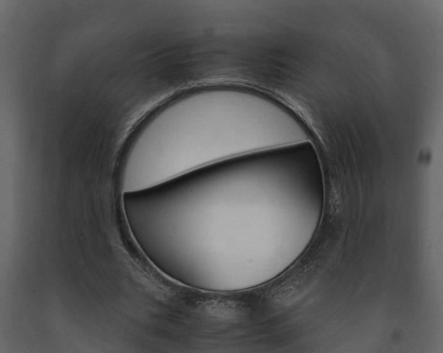 X0000091710535200708240959