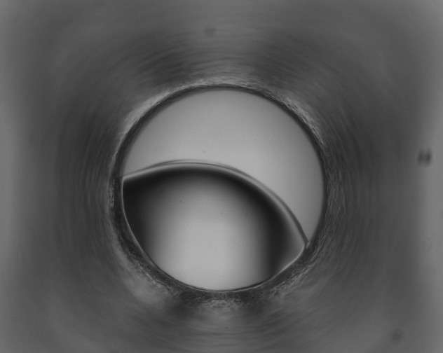 X0000091710536200708240959