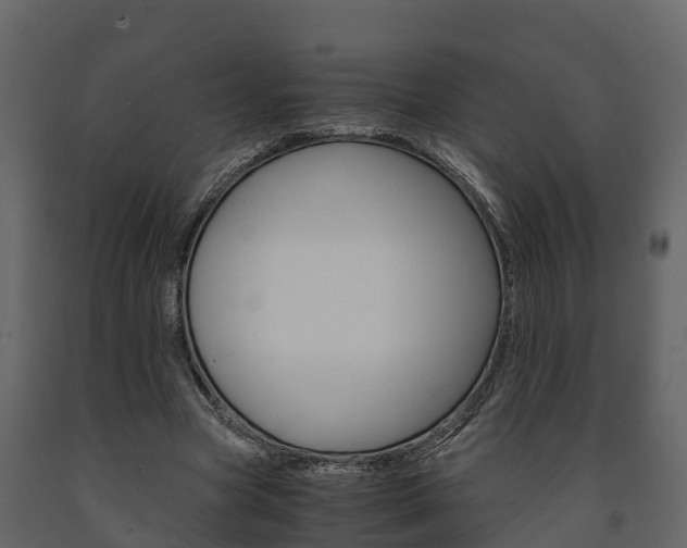 X0000091710537200708240959
