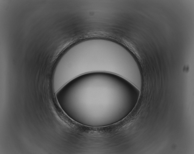 X0000091710538200708240959