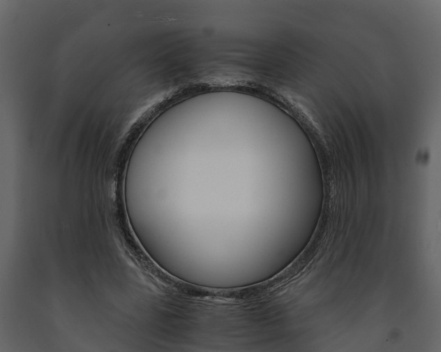 X0000091710539200708240959
