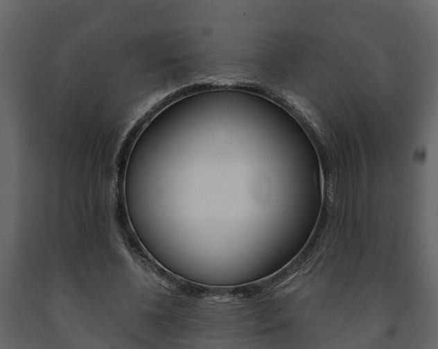 X0000091710540200708240959