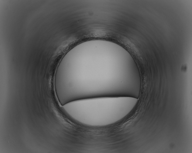 X0000091710542200708240959