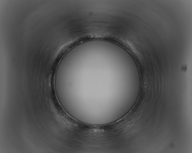 X0000091710543200708240959