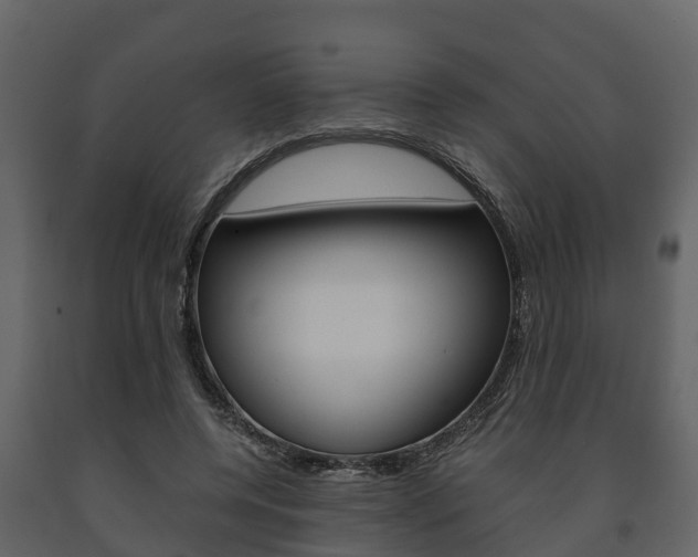 X0000091710544200708240959