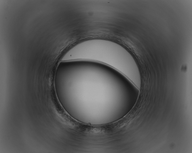 X0000091710546200708240959