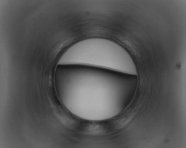 X0000091710547200708240959