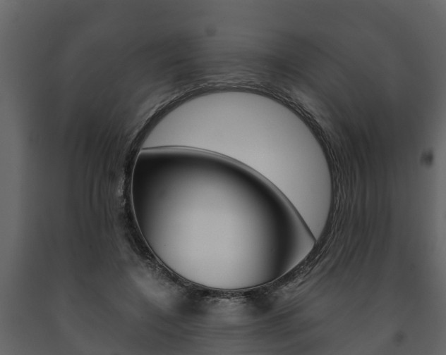 X0000091710548200708240959