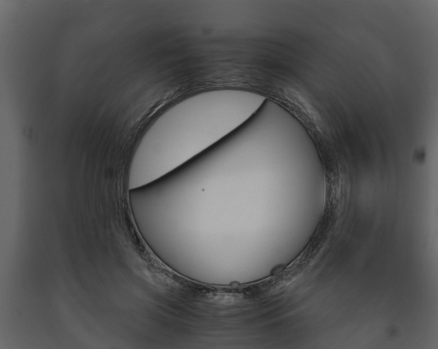 X0000091710549200708240959