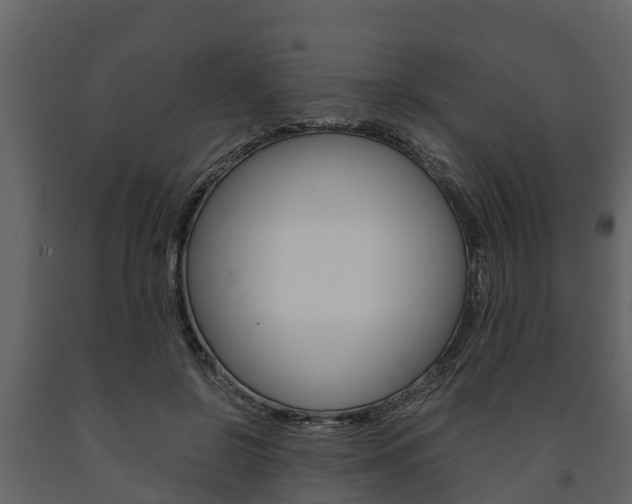 X0000091710550200708240959