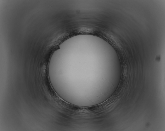 X0000091710551200708240959