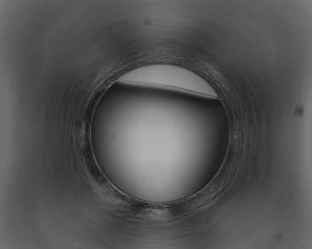 X0000091710552200708240959