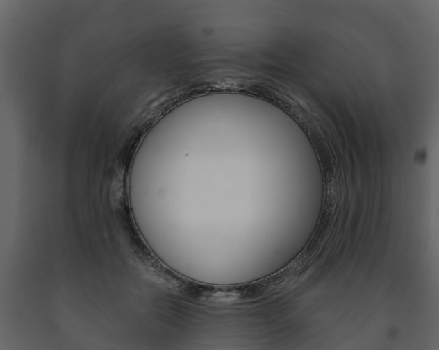X0000091710554200708240959