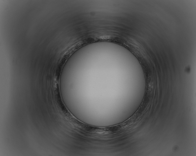 X0000091710555200708240959