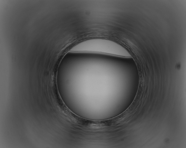X0000091710556200708240959