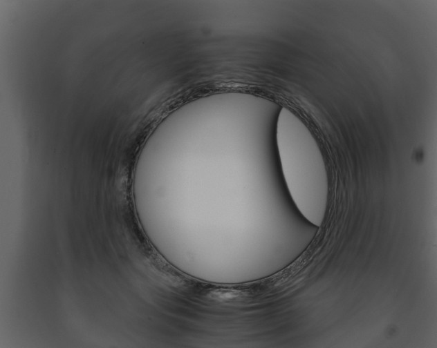 X0000091710557200708240959