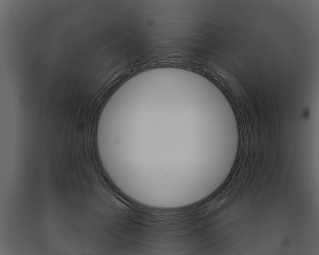 X0000091710558200708240959