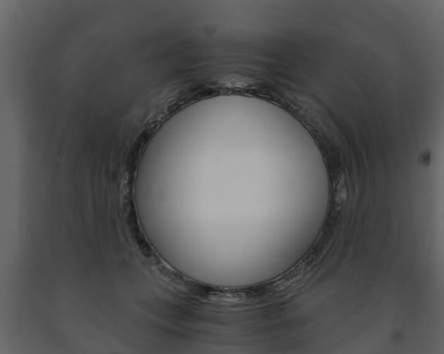 X0000091710559200708240959