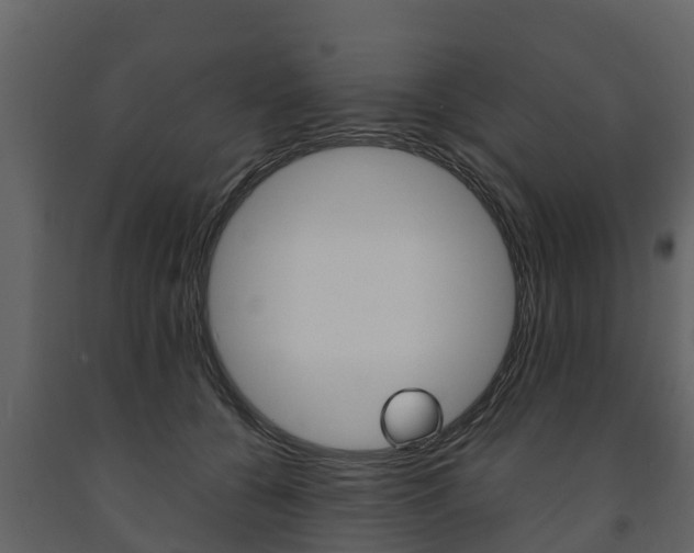 X0000091710560200708240959
