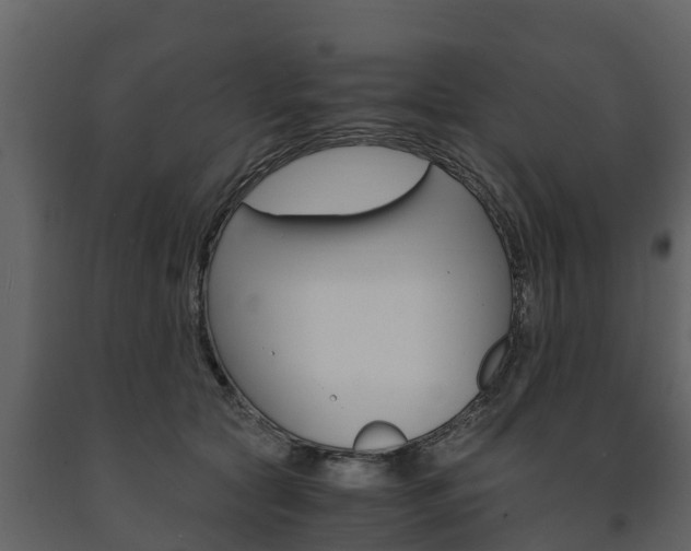 X0000091710561200708240959