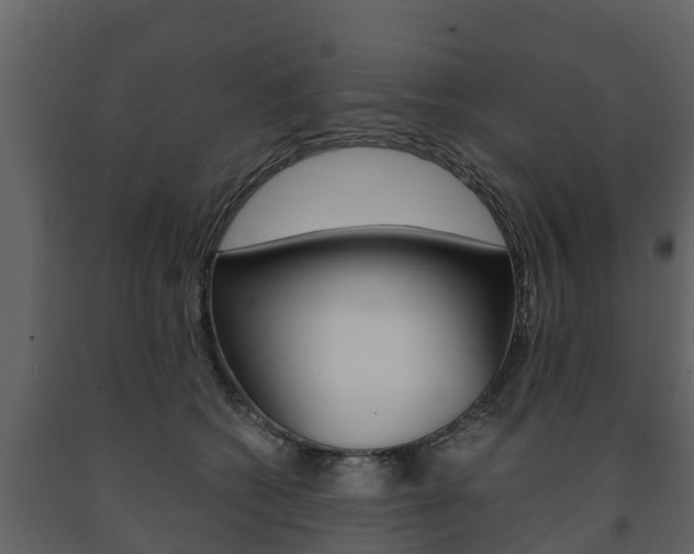 X0000091710562200708240959