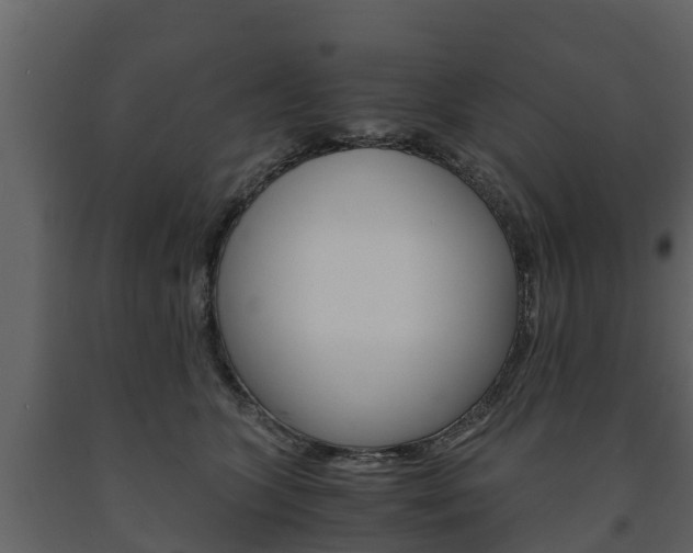 X0000091710563200708240959