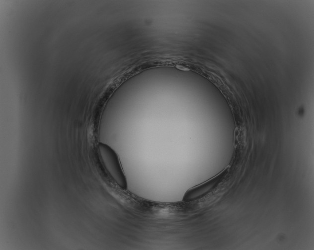 X0000091710564200708240959