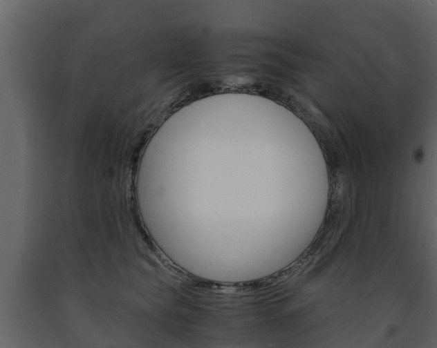 X0000091710565200708240959