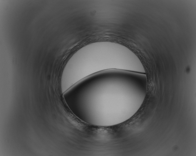 X0000091710566200708240959