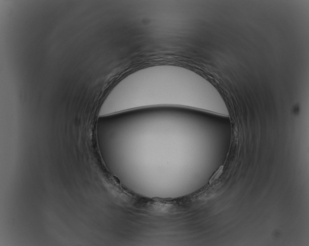 X0000091710570200708240959