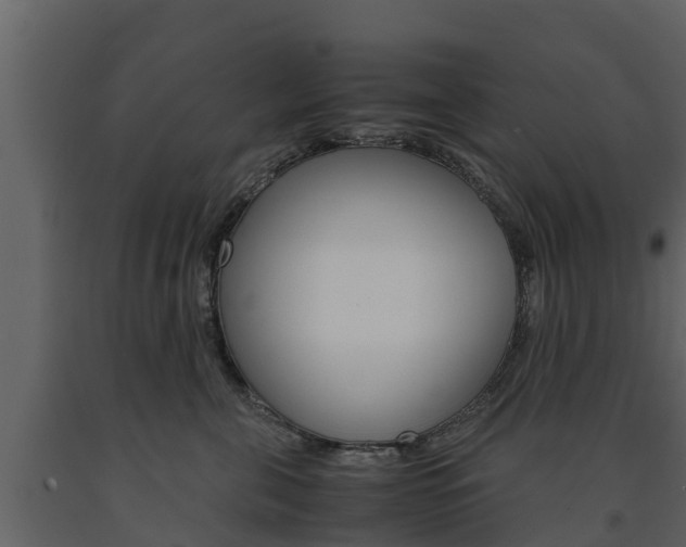 X0000091710571200708240959
