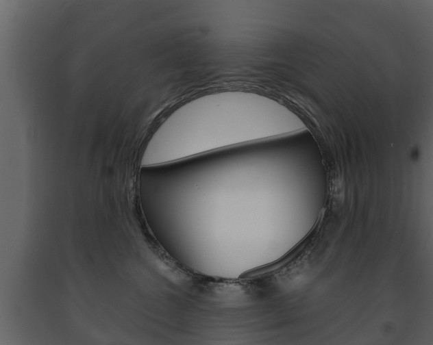X0000091710572200708240959