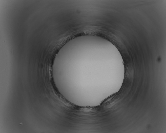 X0000091710575200708240959