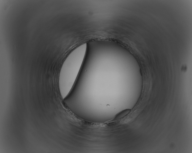 X0000091710576200708240959