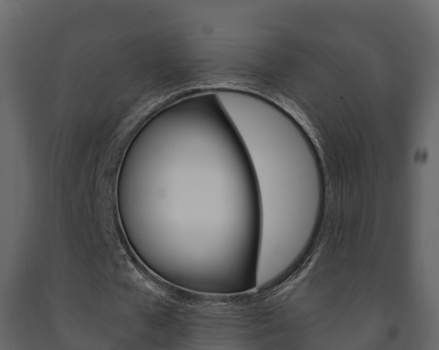 X0000091710577200708240958